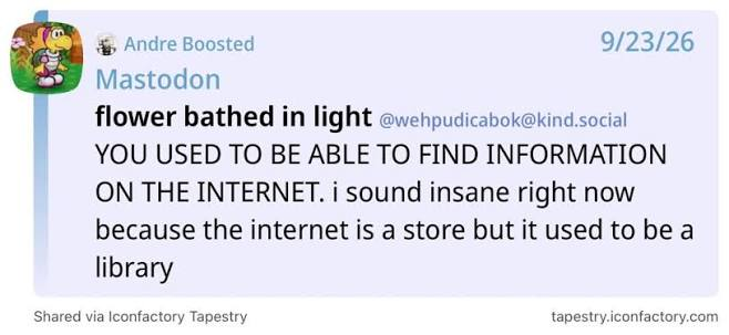Mastodon flower bathed in light @wehpudicabok@kind.social YOU USED TO BE ABLE TO FIND INFORMATION ON THE INTERNET. i sound insane right now because the internet is a store but it used to be a library.